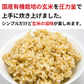 CaseBuy NH Japanese Organic Brown Rice 20-pack 