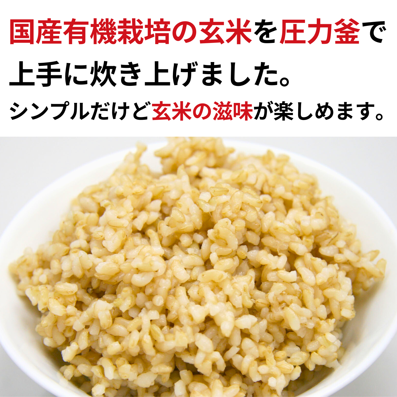 CaseBuy NH Japanese Organic Brown Rice 20-pack 