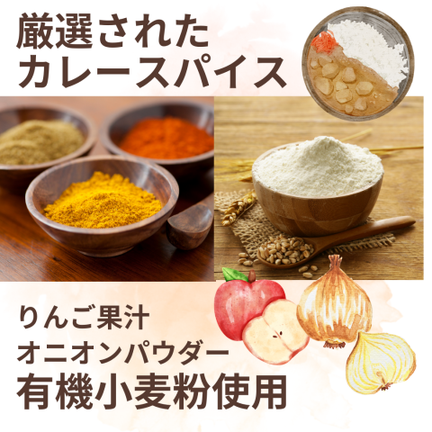 CaseBuy Curry Mild (made with organic wheat) 10-pack 