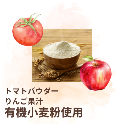 CaseBuy NH Hayashi Rice Ru (made with organic wheat) 10-pack 