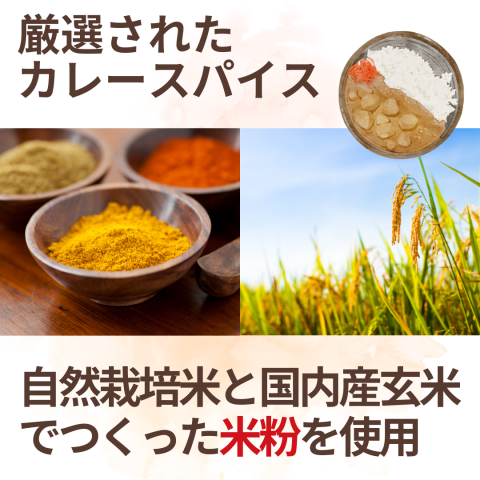 CaseBuy Rice Flour Curry Roux Medium Spicy 10-Piece Set 