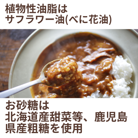 CaseBuy Rice Flour Curry Roux Medium Spicy 10-Piece Set 