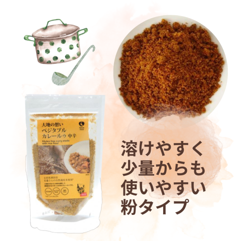 CaseBuy Rice Flour Curry Roux Medium Spicy 10-Piece Set 