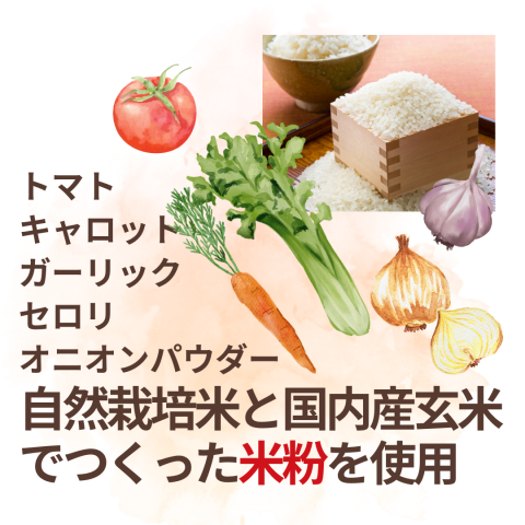 CaseBuy NH Rice Flour Hayashi Sauce Ru 110g x 10 pack