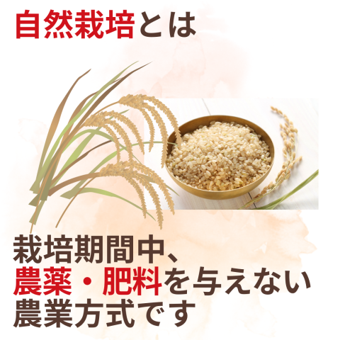 CaseBuy NH Rice Flour Hayashi Sauce Ru 110g x 10 pack