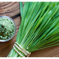 [Regular Delivery] Organic Kuwa Green Juice + Organic Barley and Wakaba (1 each) [3-month course] 