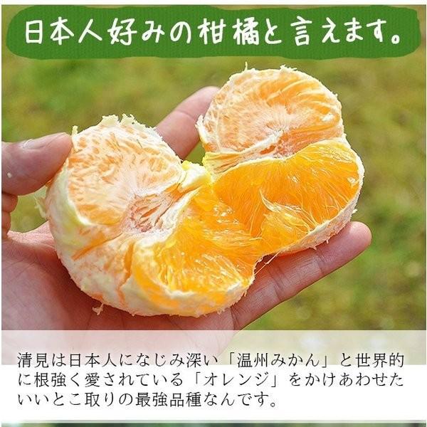 和歌山県グリーンジャンクション田村さん・完熟清美オレンジ　5kg