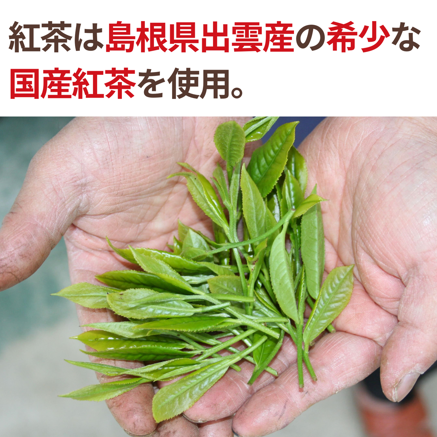 NH Daichi no Omoide Japanese black tea leaves 