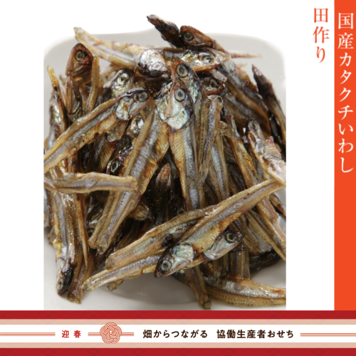 【冷蔵】国産片口いわし 田作り（御節単品B-5）