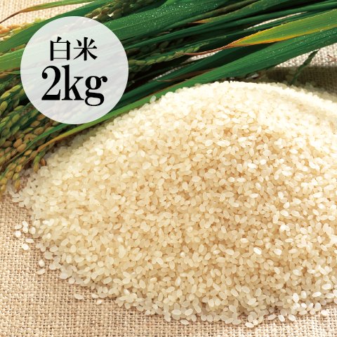 【次回入荷2025年秋】群馬県・金井さんの有機栽培こしひかり白米2kg