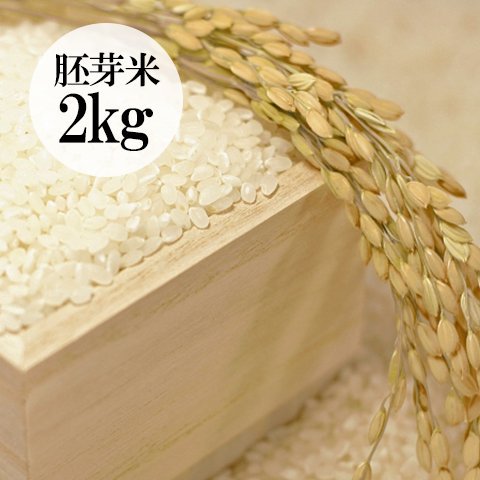 【次回入荷2025年秋】群馬県・金井さんの有機栽培こしひかり胚芽米2kg