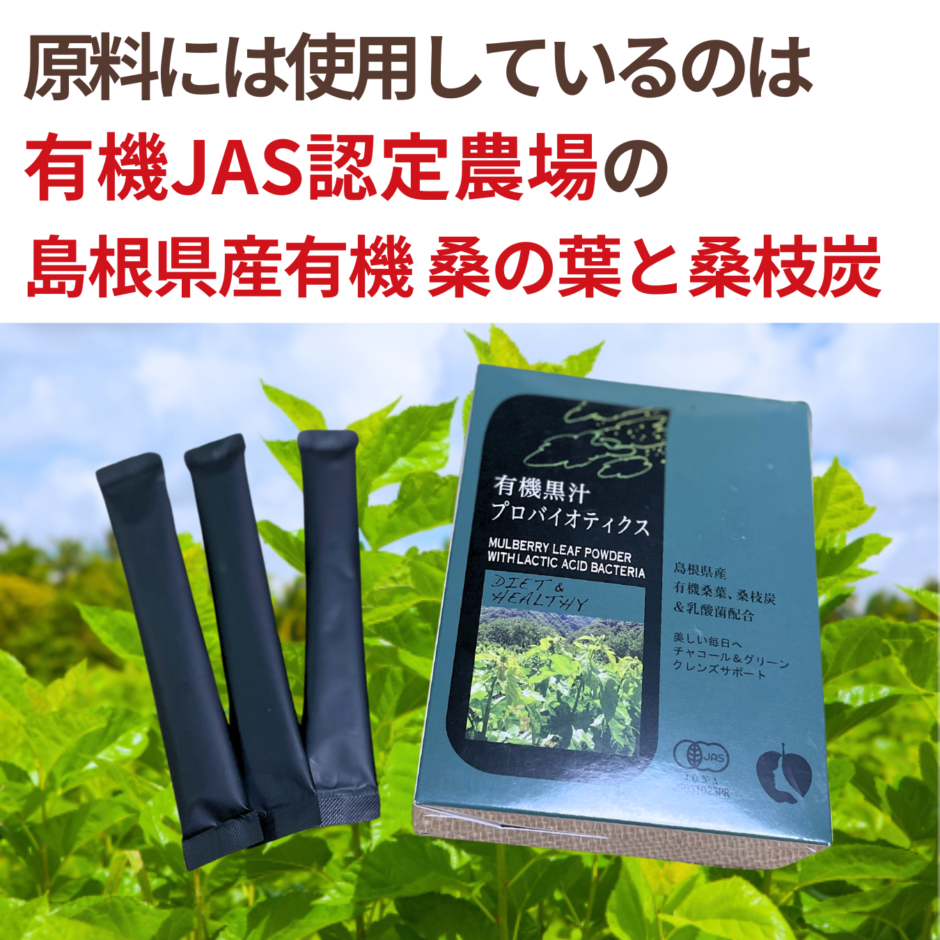 Organic Kurojiru Probiotics 30 packets 
