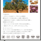 D Extra Berber Oil 
