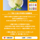 "Guilt-free" mandarin jelly 