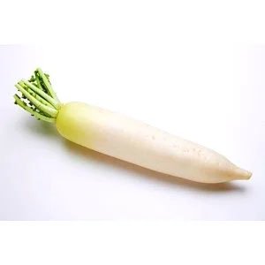 【冷蔵】有機大根1本
