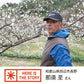 20 organic Nanko umeboshi plums (39002) from Nasu, Wakayama Prefecture 