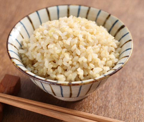 【次回入荷2025年秋】山形・佐藤さんのこしひかり胚芽米5kg（無施肥・無農薬）