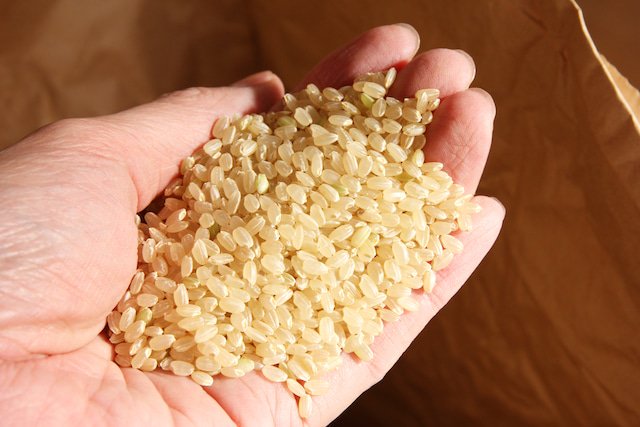 [Refrigerated] NH Organic Brown Rice Milk (Tenjin Farm) 