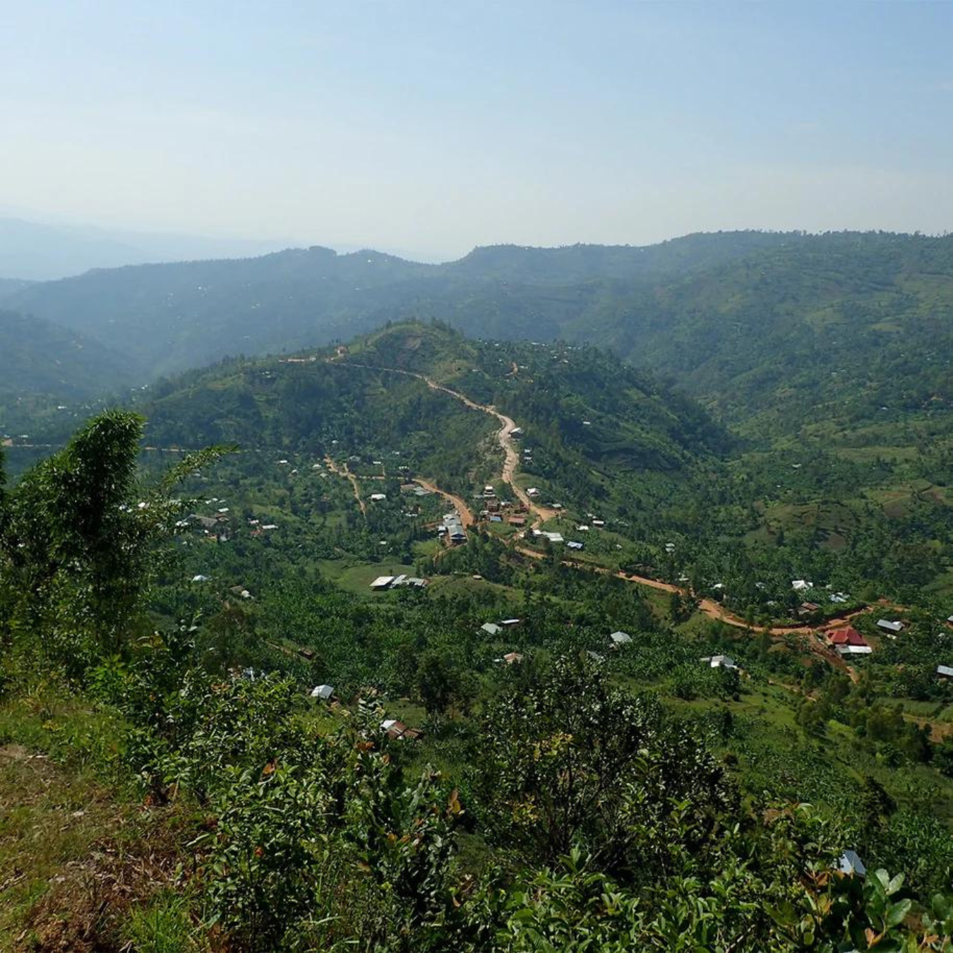 Karuizawa Roastery Organic Rwanda Mikoff (flour) 