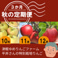 【秋の定期便３か月】平井さんの特別栽培りんご