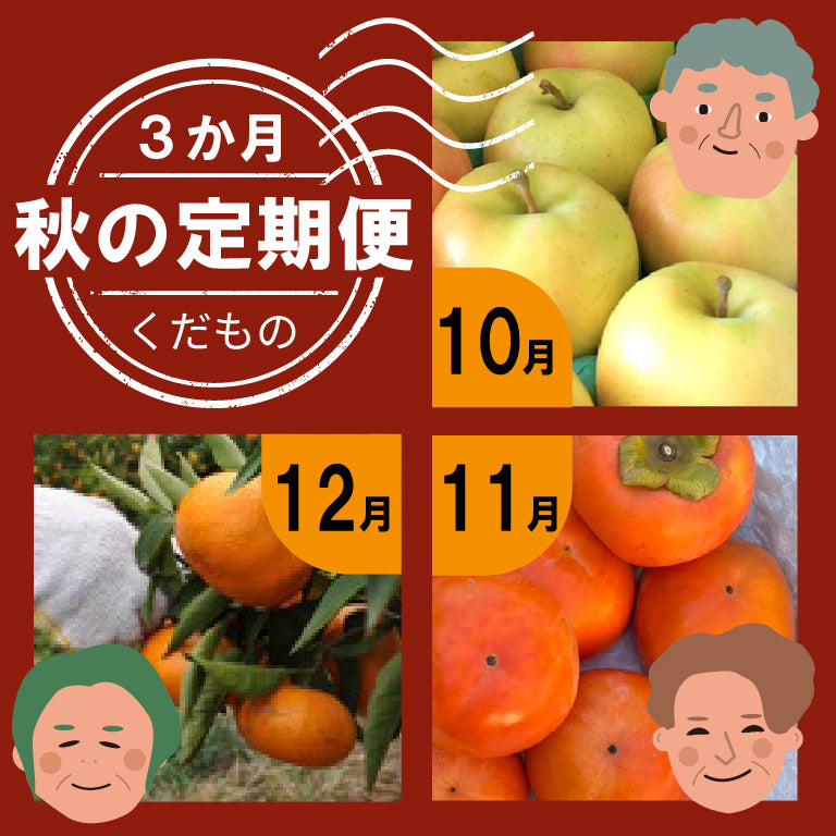 秋の定期便３か月・果物