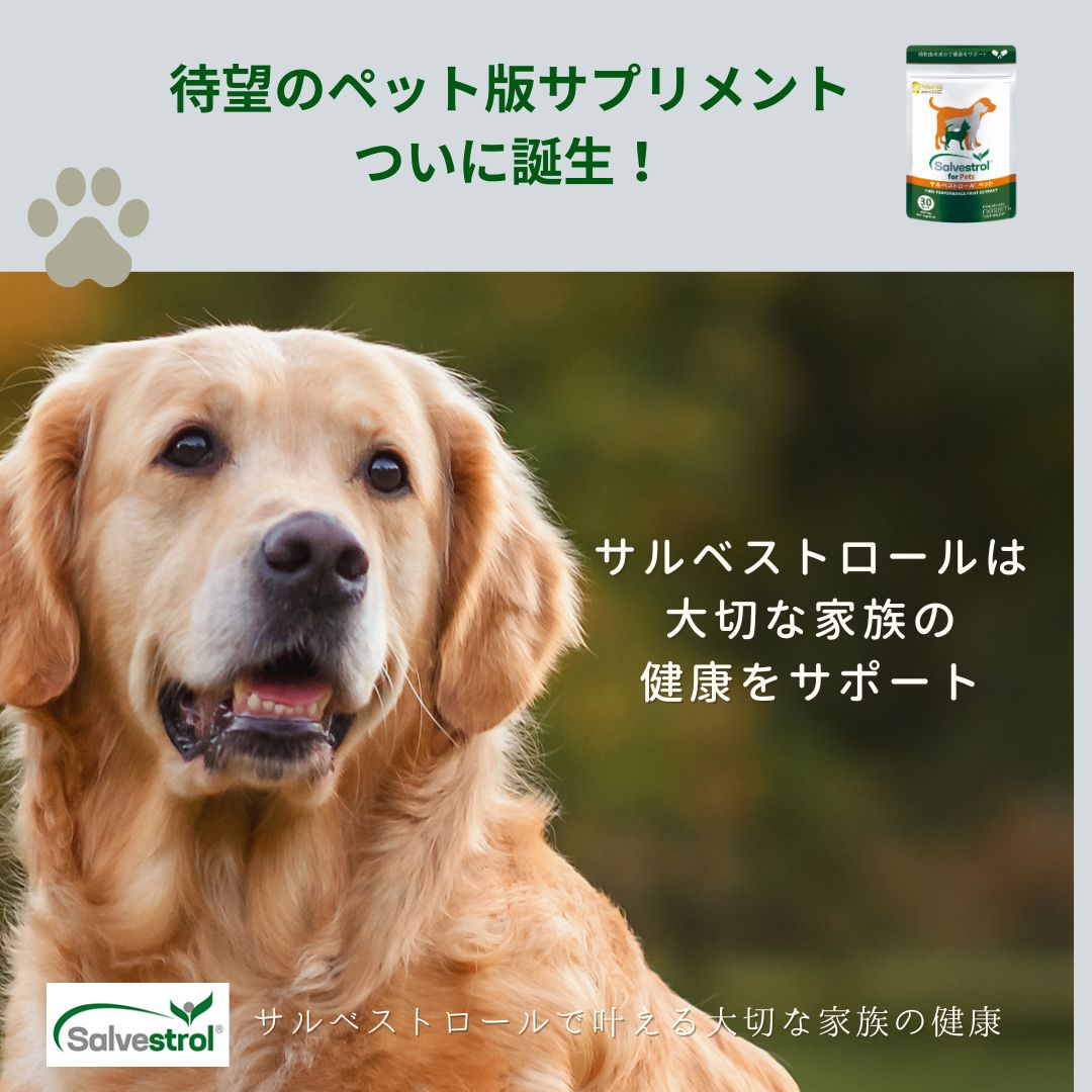 サルベストロール ペット（ペット用サプリ） – ナチュラルハウス