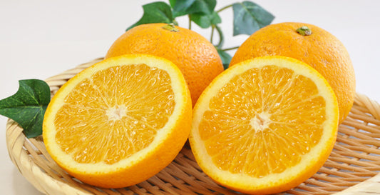 和歌山県グリーンジャンクション田村さん・木成り八朔　２kg