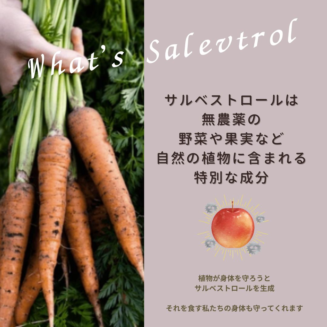 サルベストロール ペット（ペット用サプリ）