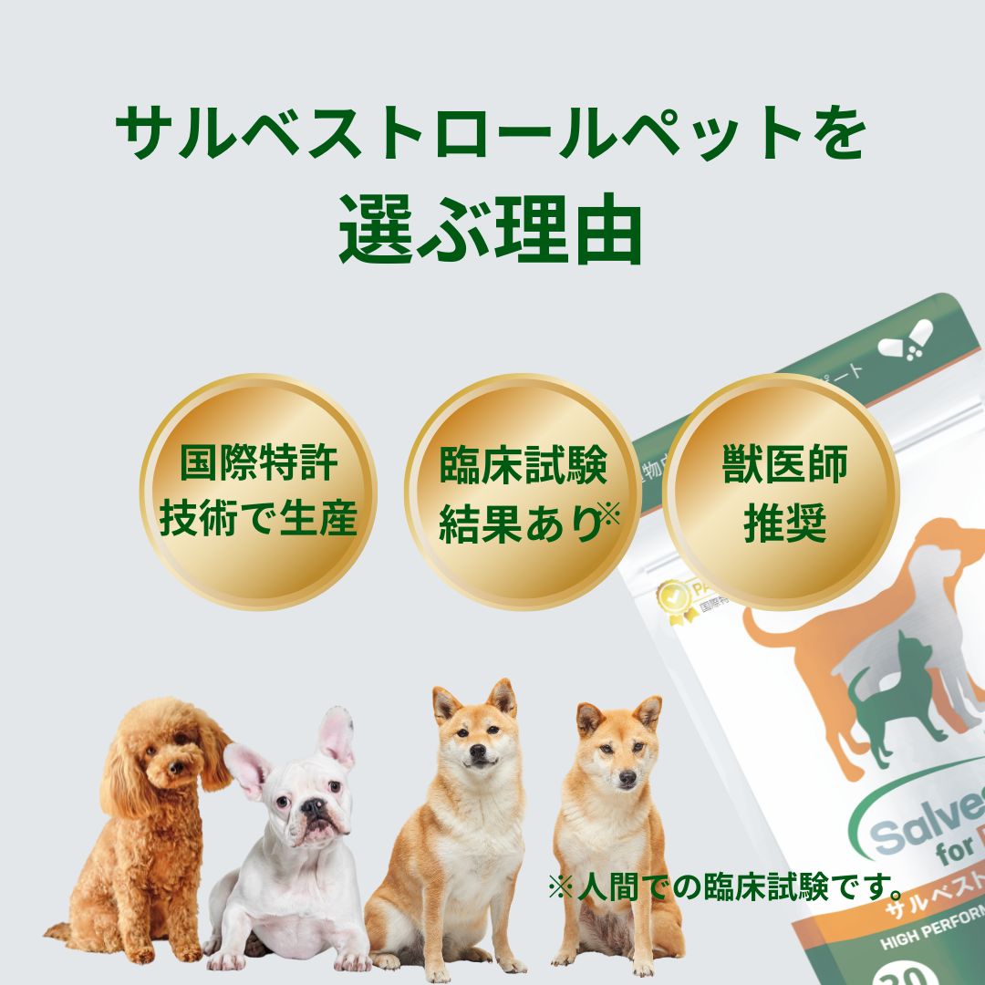 サルベストロール ペット（ペット用サプリ） – ナチュラルハウス