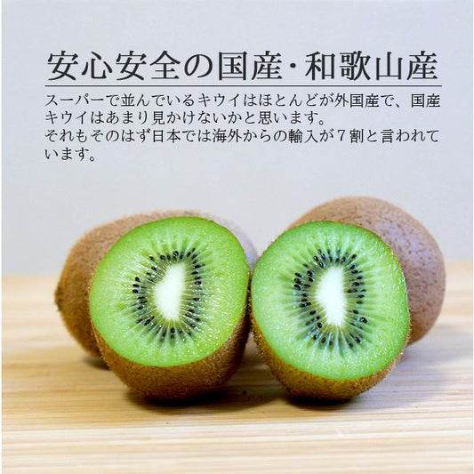 和歌山県グリーンジャンクション田村さん・キウイ　２kg