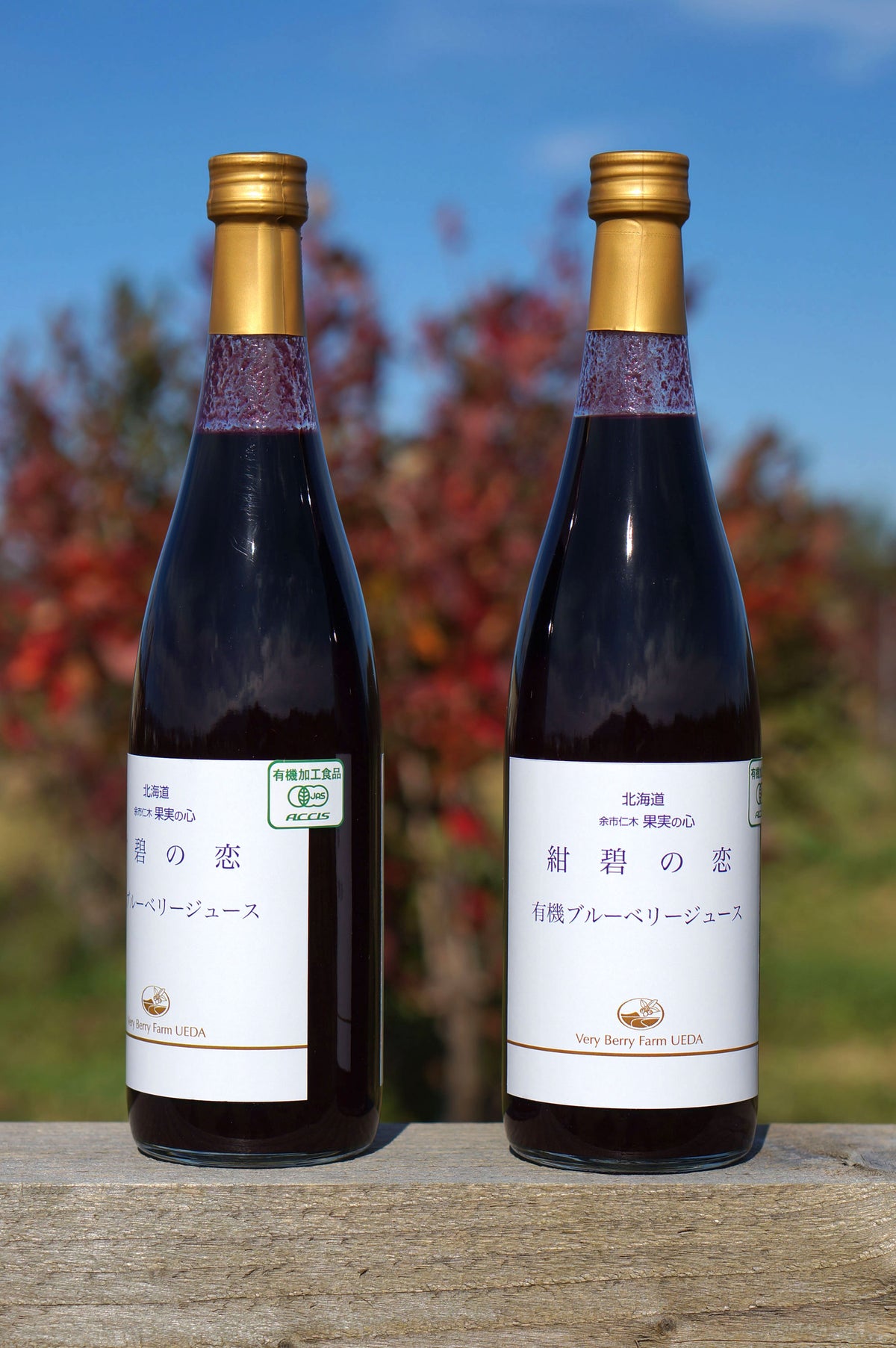 Hirai's additive-free apple juice 1L (3 bottles assortment) (98008) 