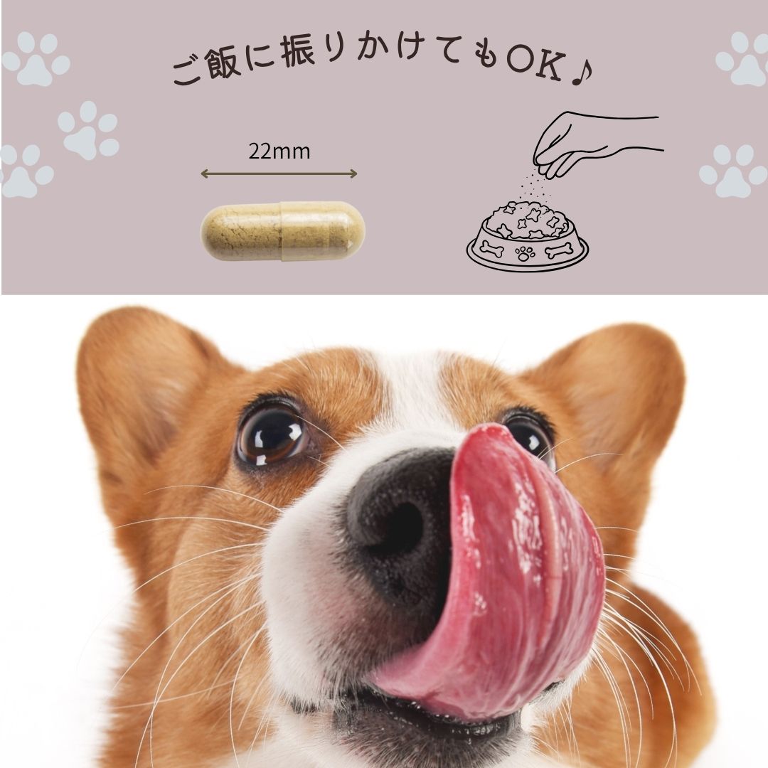 サルベストロール ペット（ペット用サプリ） – ナチュラルハウス