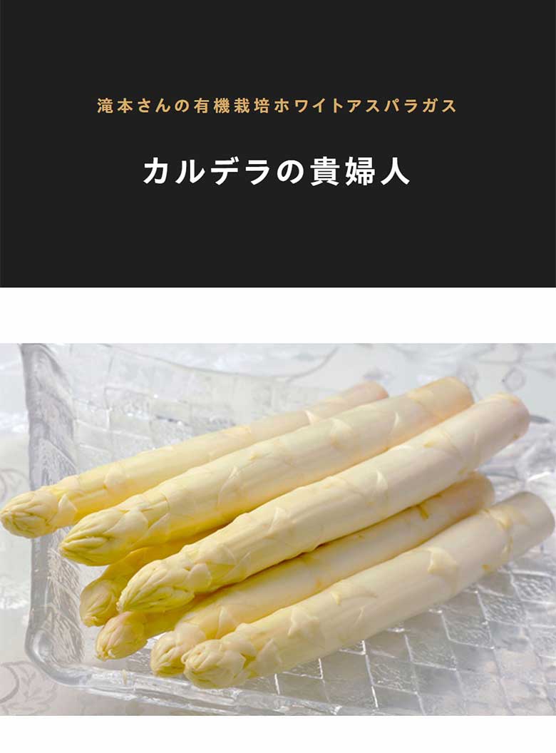 【限定】ホワイトアスパラガス『カルデラの貴婦人』2Lサイズ(1キロ)