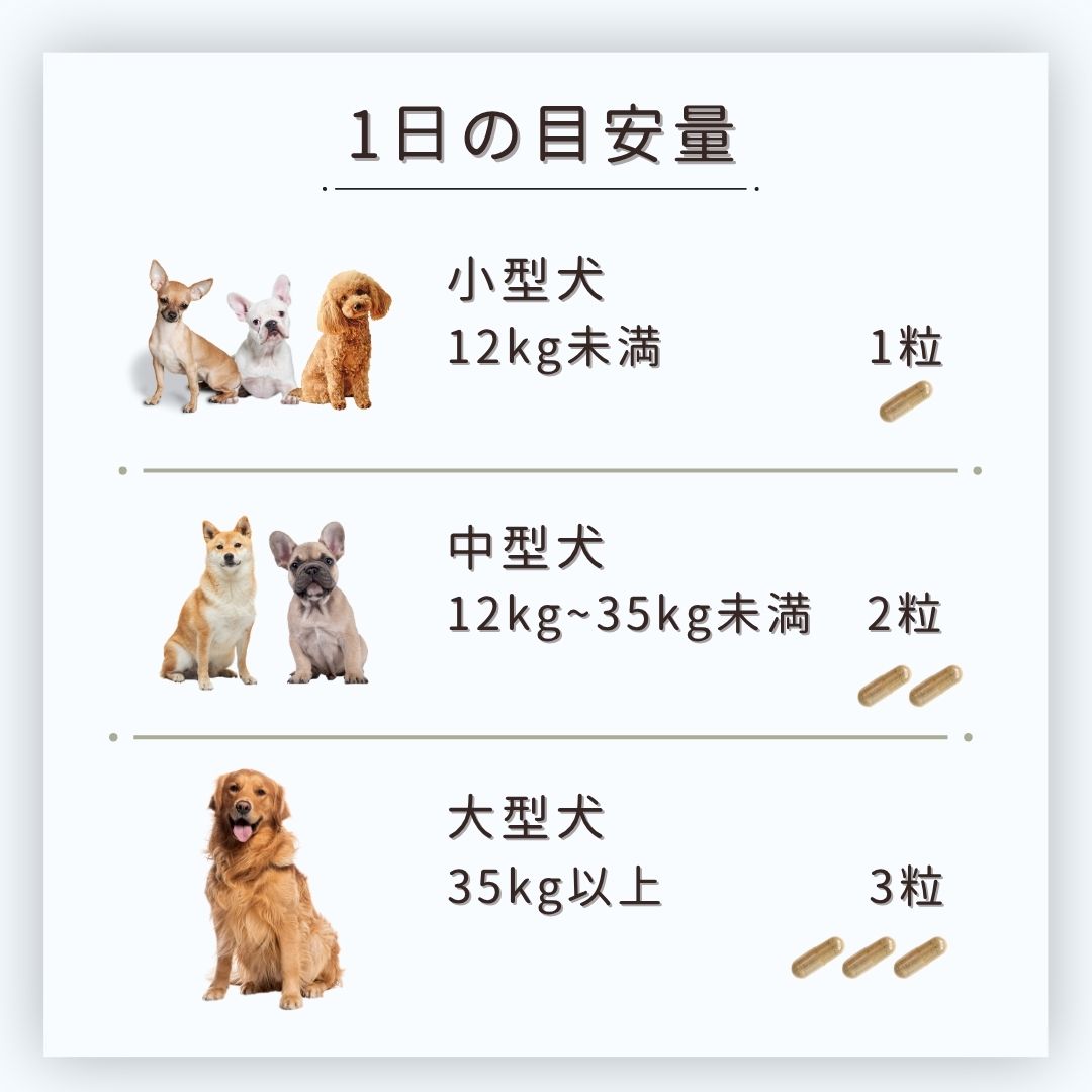 サルベストロール ペット（ペット用サプリ）