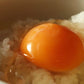 【産地直送】丹波奥郷のたまご　カンナンファームやまぶき  10個入×4P　（送料込）