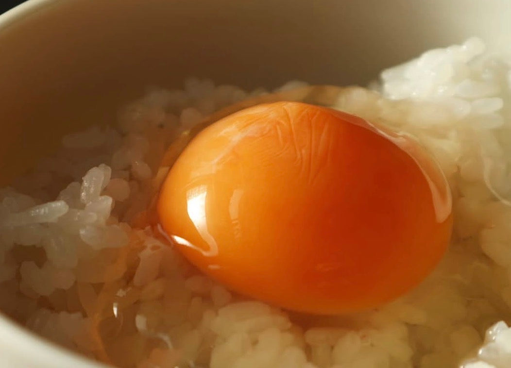 【産地直送】丹波奥郷のたまご　カンナンファームやまぶき  10個入×4P　（送料込）