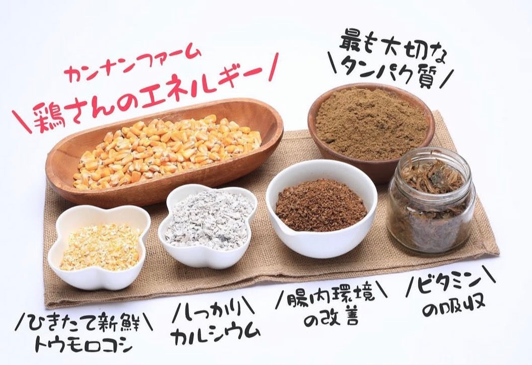 【産地直送】丹波奥郷のたまご　カンナンファームやまぶき  10個入×4P　（送料込）