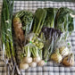 【毎週月曜締切→金曜発送便】神奈川県　NO-RA農楽の野菜箱　露地野菜を産直でお届け