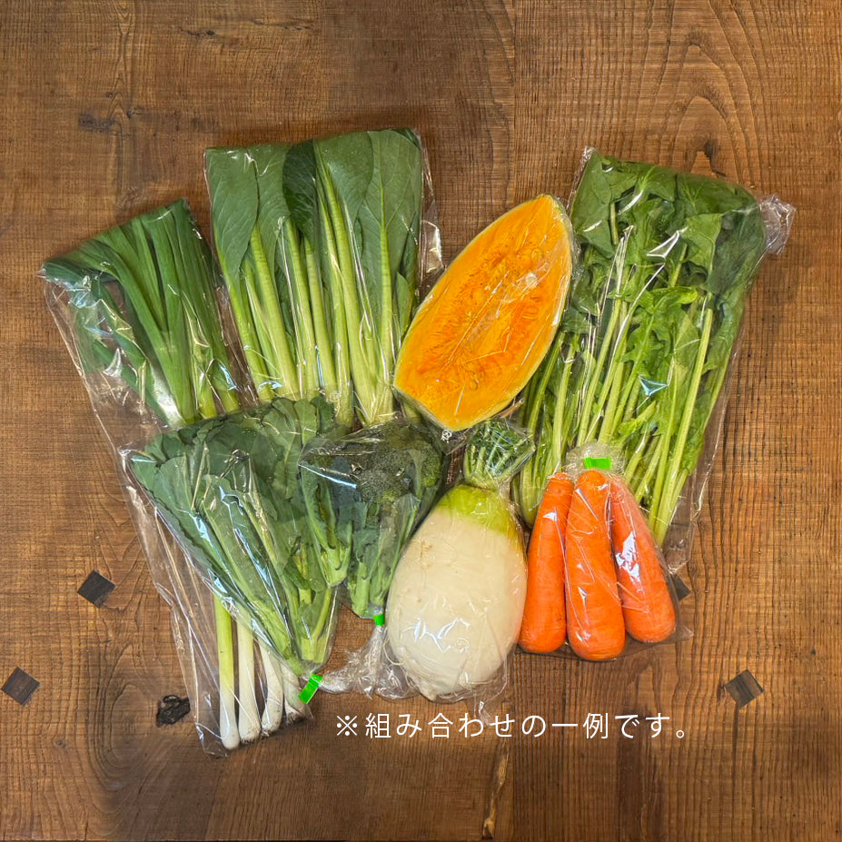 【毎週月曜締切→金曜発送便】神奈川県　NO-RA農楽の野菜箱　露地野菜を産直でお届け