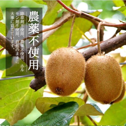 和歌山県グリーンジャンクション田村さん・キウイ　２kg
