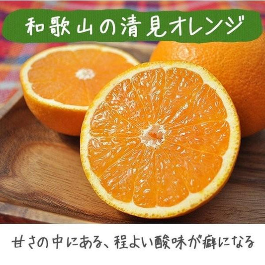 和歌山県グリーンジャンクション田村さん・完熟清美オレンジ　２kg