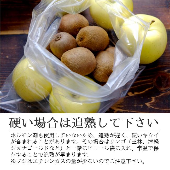 和歌山県グリーンジャンクション田村さん・キウイ　２kg
