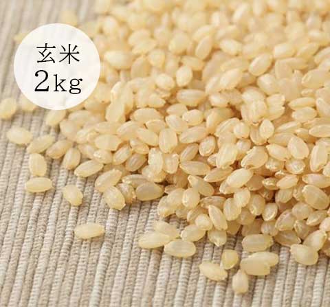 2kg of Koshihikari brown rice from Mr. Sato in Yamagata (no fertilizer or pesticides)