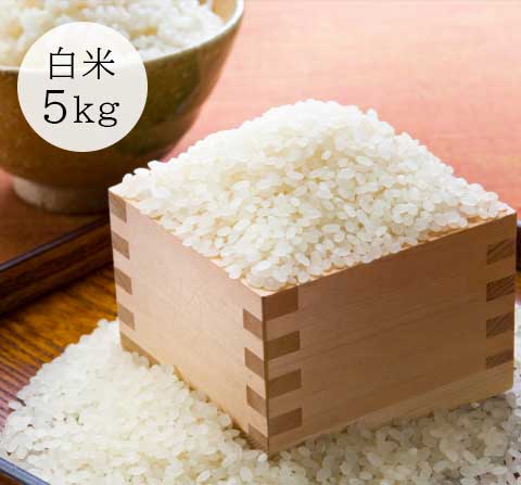 【次回入荷2025年秋】山形・佐藤さんのこしひかり白米5㎏(無施肥・無農薬 )