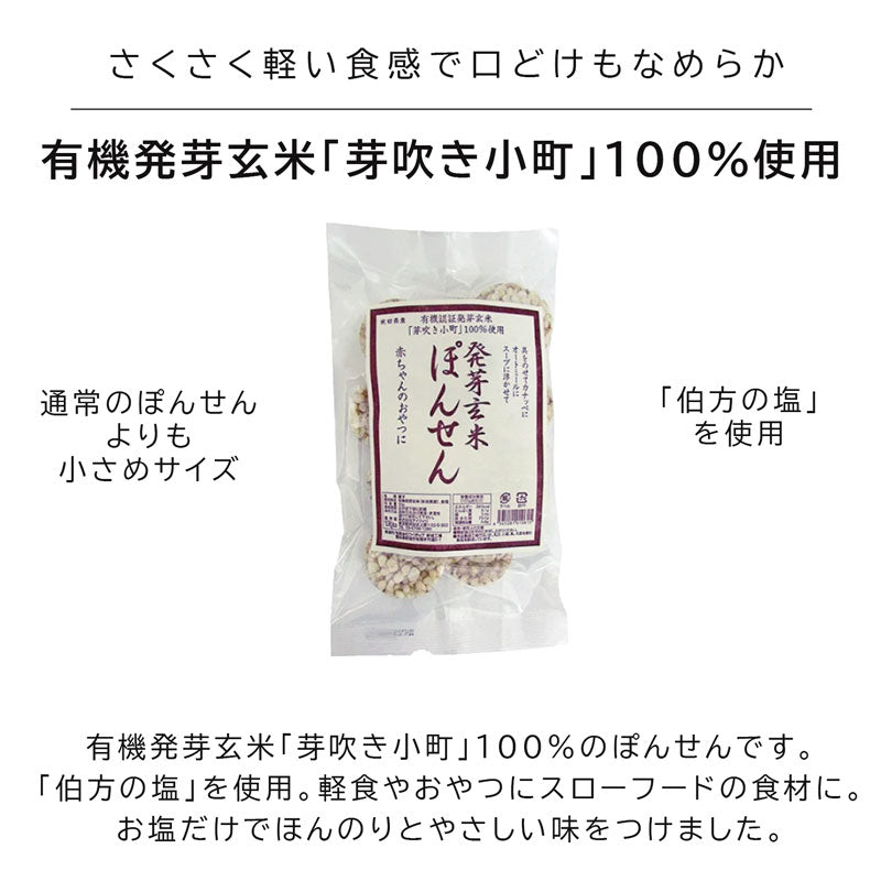 ベビーかみかみ期（1歳）セット