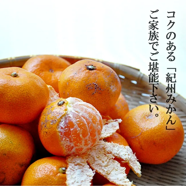 グリーンジャンクション 紀州みかん5kg（99002）