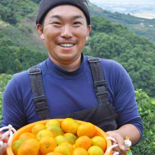 グリーンジャンクション 紀州みかん5kg（99002）