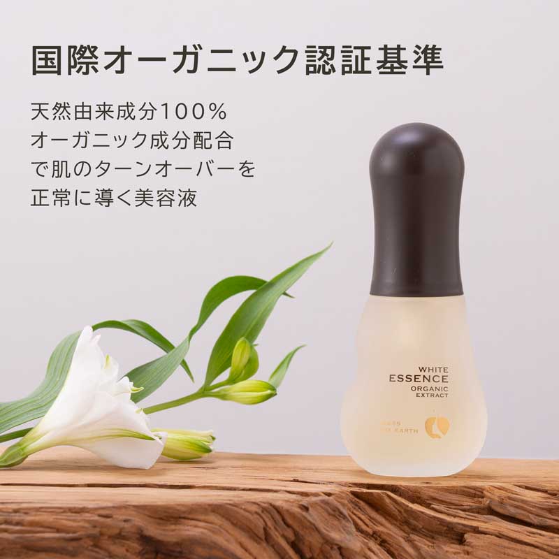 Bright Spring コフレ