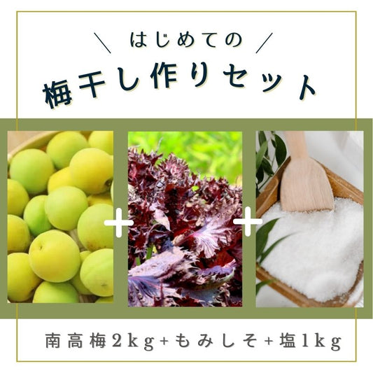 【受付締切 6/13まで】 はじめての梅しごとセット 果実たっぷりでやわらか有機栽培 南高梅（梅干しづくり用）2㎏＋有機もみ紫蘇＋塩（B-1）